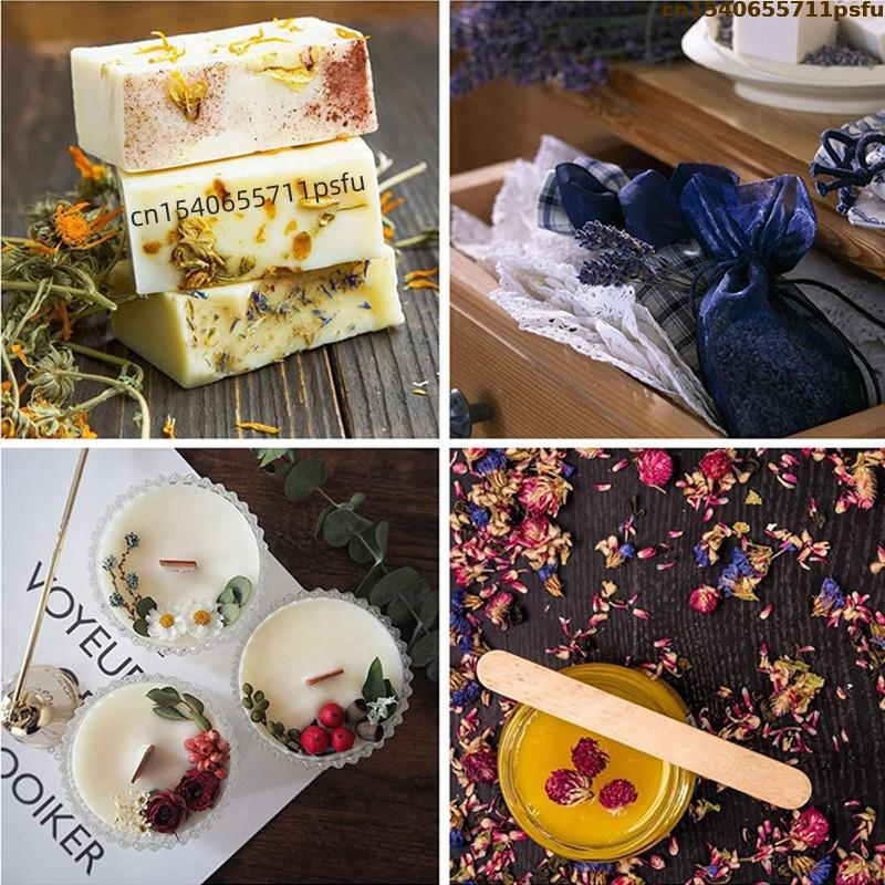 ดอกกุหลาบแห้งคุณภาพสูง 4 ชนิด  - Candle Making Ingredients บทวิจารณ์และราคา